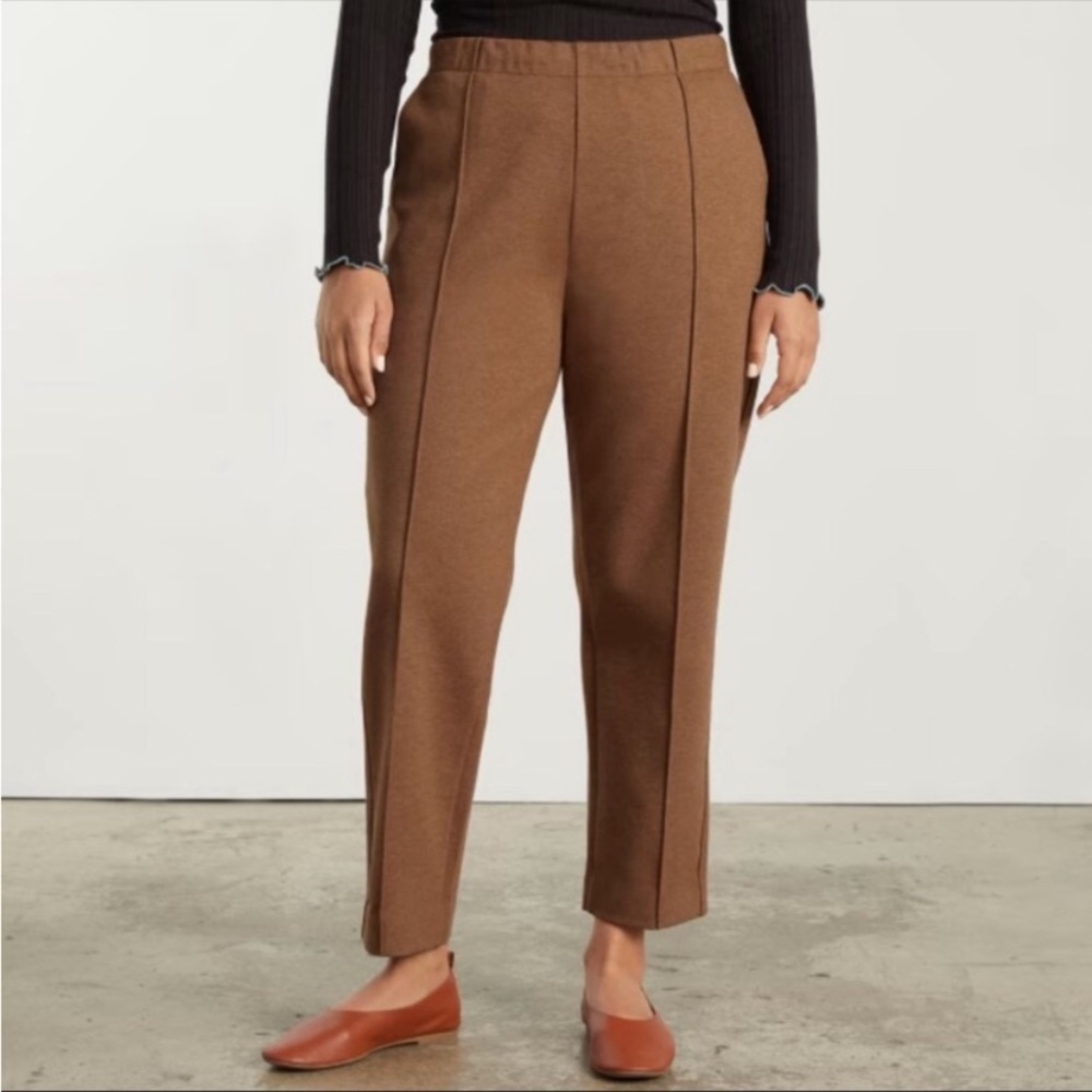 Everlane The Dream pleated pants